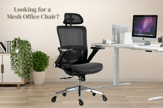 Why a Mesh Office Chair is the Best Choice for Long Hours?