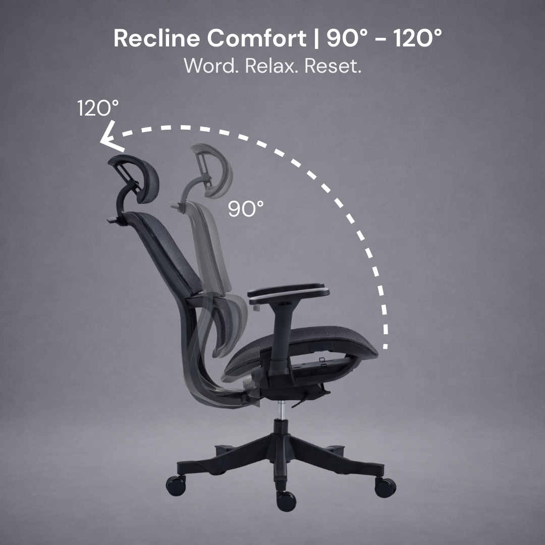 Magna Ergonomic Office Mesh Chair