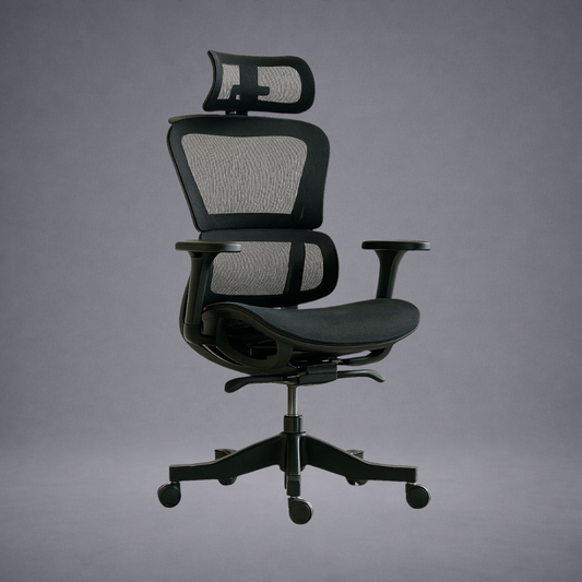Magna Ergonomic Office Mesh Chair