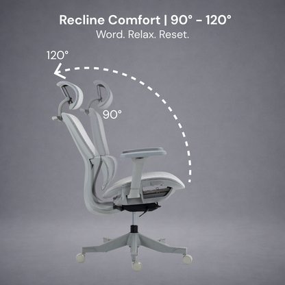 Magna Ergonomic Office Mesh Chair
