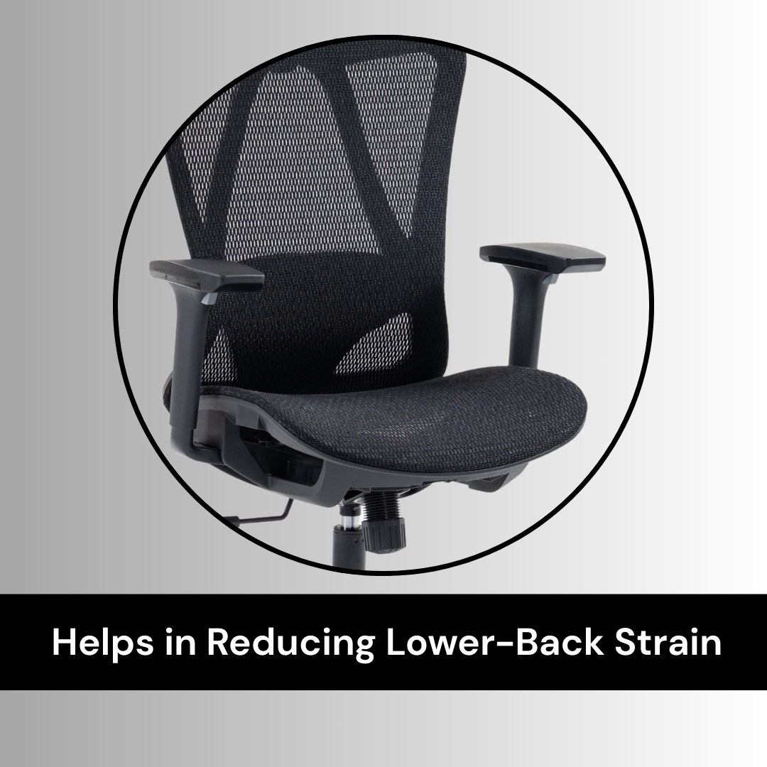 Zenvo lumbar support office chair for low back pain relief